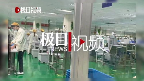 电子厂流水线上的护理梦 湖北利川职校实习争议背后的职教之困